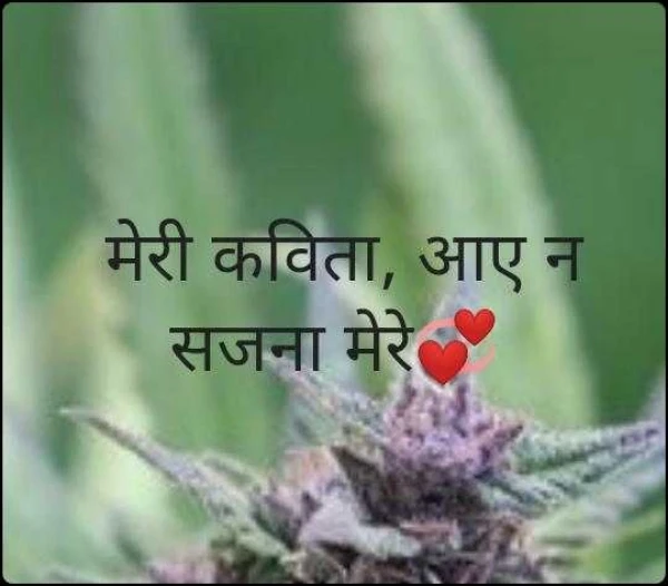 मेरी कविता, आए न सजना मेरे💞
