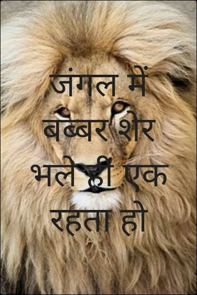 जंगल में बब्बर शेर भले ही एक रहता हो