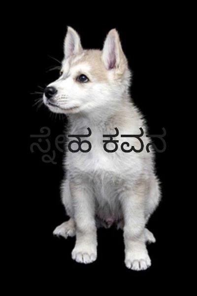 ಸ್ನೇಹ ಕವನ