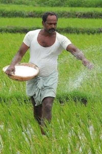 Khet khalihan - An online Hindi story written by Kuldeep tomer |  Pratilipi.com