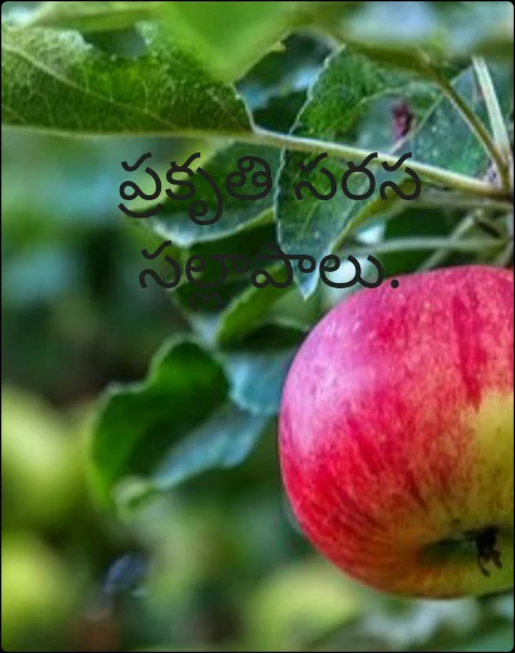 ప్రకృతి సరస సల్లాపాలు.