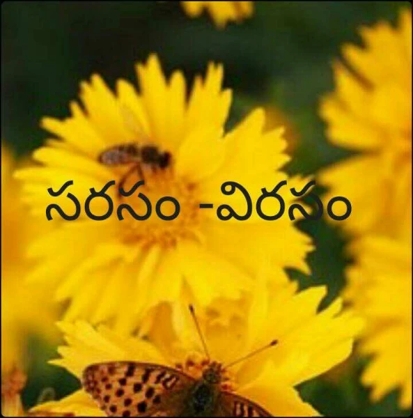 సరసం -విరసం