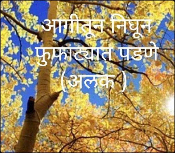 आगीतून निघून फुफाट्यात पडणे (अलक )
