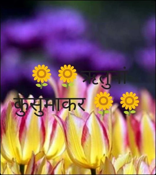 🌻🌻ऋतुनां कुसुमाकर 🌻🌻