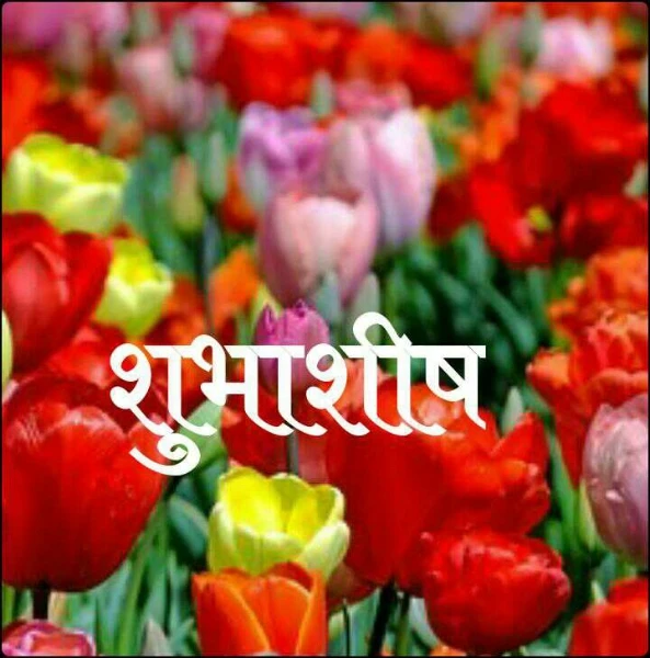 शुभाशीष