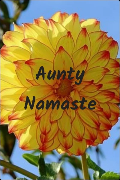 Aunty Namaste