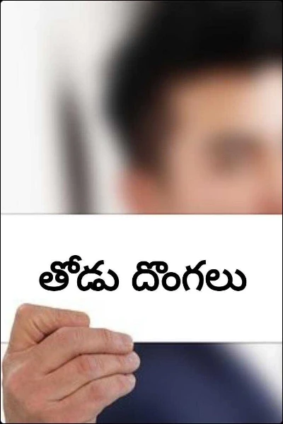తోడు దొంగలు