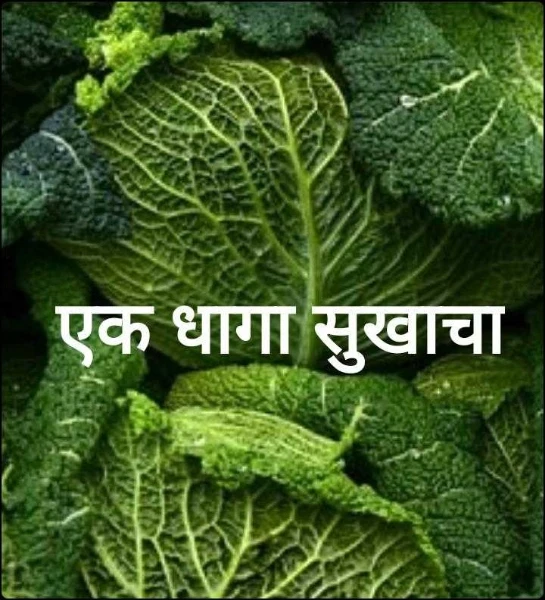 एक धागा सुखाचा
