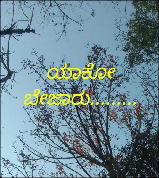 ಯಾಕೋ ಬೇಜಾರು.........