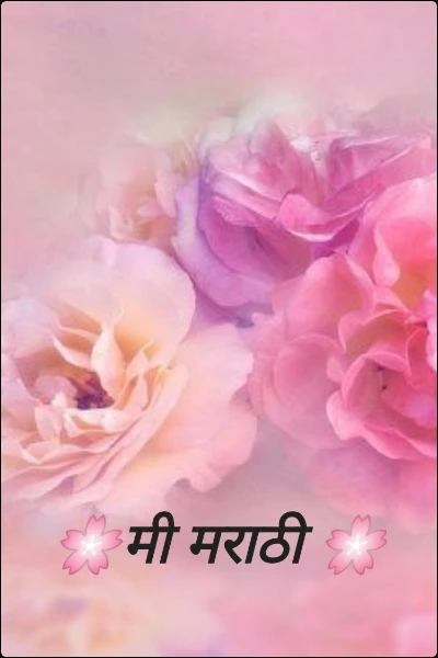 🌸मी मराठी 🌸