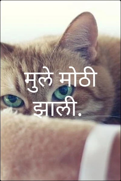मुले मोठी झाली.
