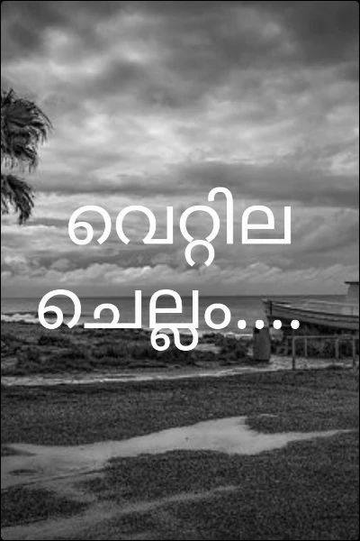 വെറ്റില ചെല്ലം....