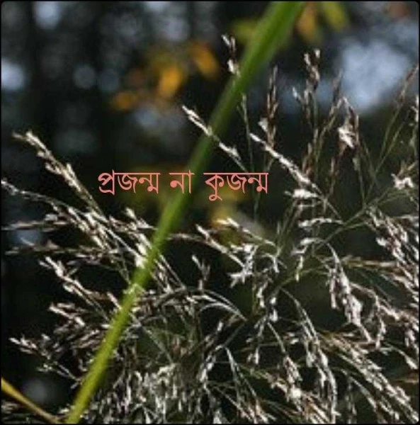 প্রজন্ম না কুজন্ম