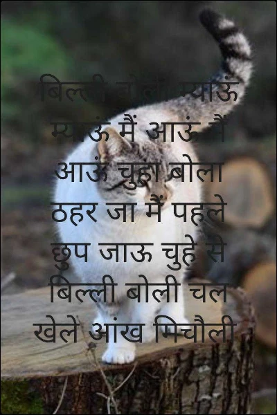 बिल्ली बोली म्याऊं म्याऊं मैं आऊं मैं आऊं चुहा बोला ठहर जा मैं पहले छुप जाऊ चुहे से बिल्ली बोली चल खेले आंख मिचौली