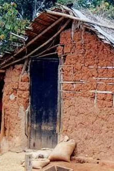 ಹಂಗಿನ ಅರಮನೆ