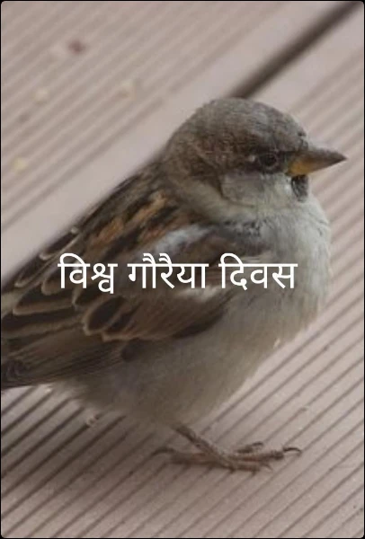 विश्व गौरैया दिवस