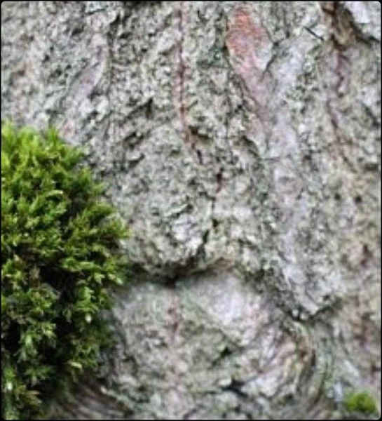 फक्त एकदाच....