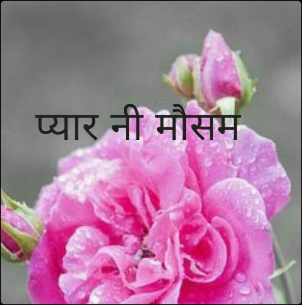 प्यार नी मौसम