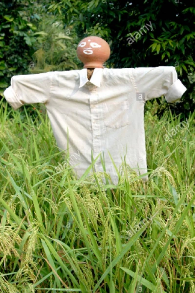 ବାବନା ଭୂତ