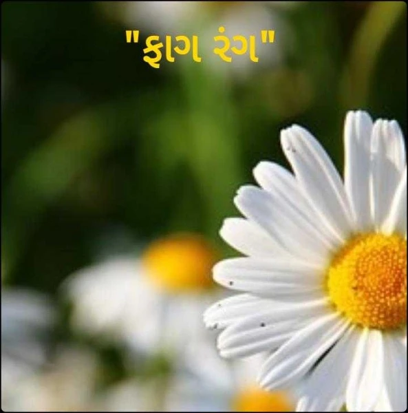 "ફાગ રંગ"