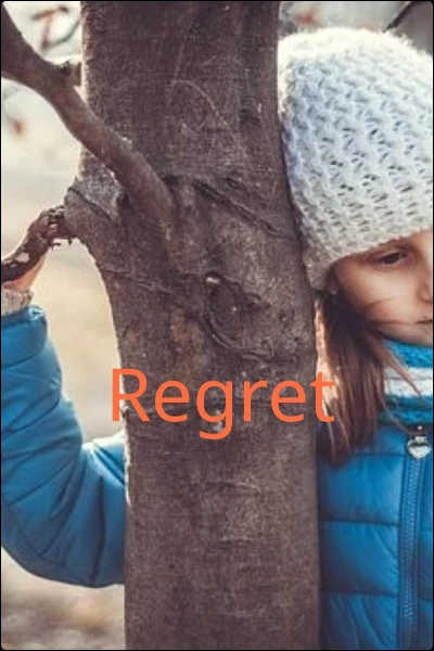 Regret
