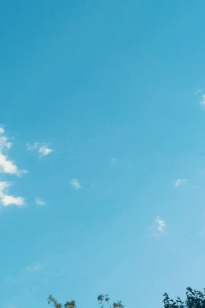 ਇਮਾਨਦਾਰੀ ਦਾ ਇਨਾਮ