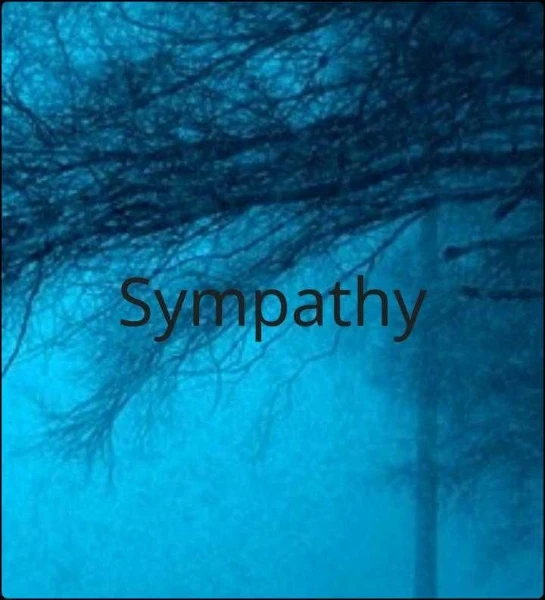 Sympathy