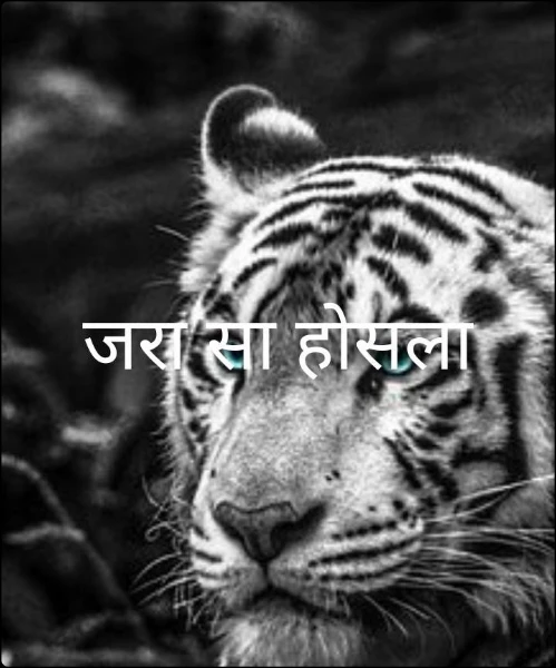 जरा सा होसला