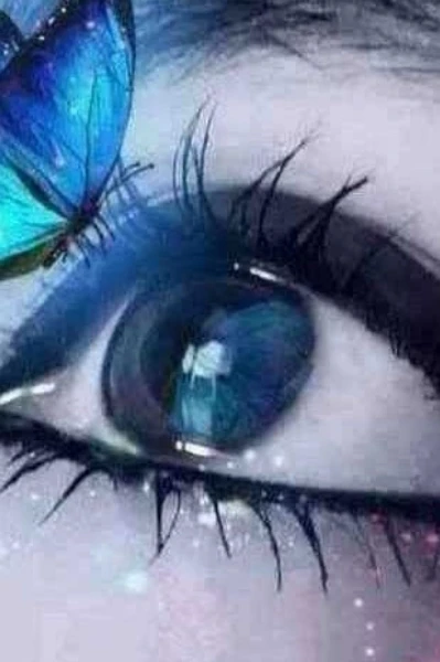 அன்பு ஒன்று தான் அனாதை ☹️