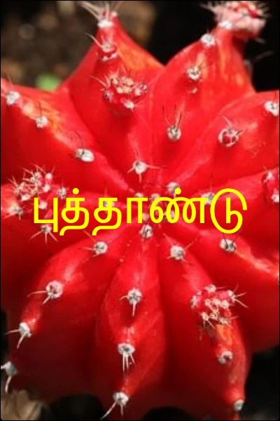 புத்தாண்டு