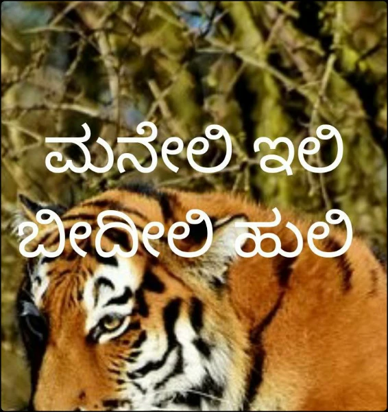 ಮನೇಲಿ ಇಲಿ ಬೀದೀಲಿ ಹುಲಿ