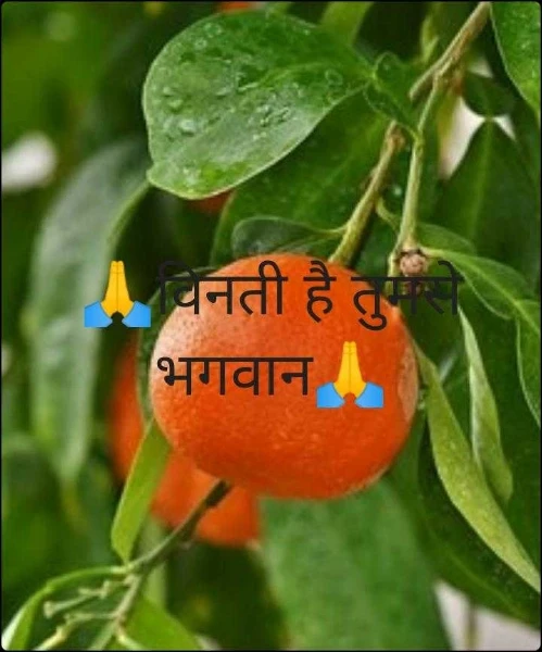 🙏विनती है तुमसे भगवान🙏