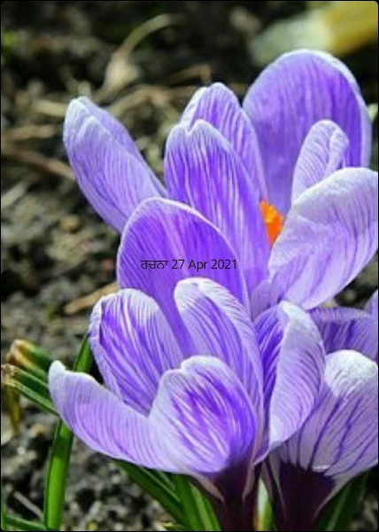 ਰਚਨਾ 27 Apr 2021