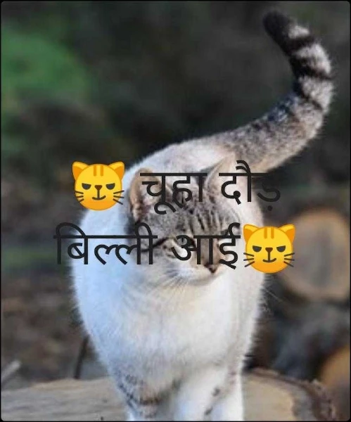 😼 चूहा दौड़ बिल्ली आई😼