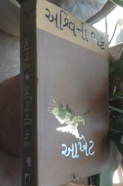 આખેટ - ૧ - પુસ્તક પરિચય