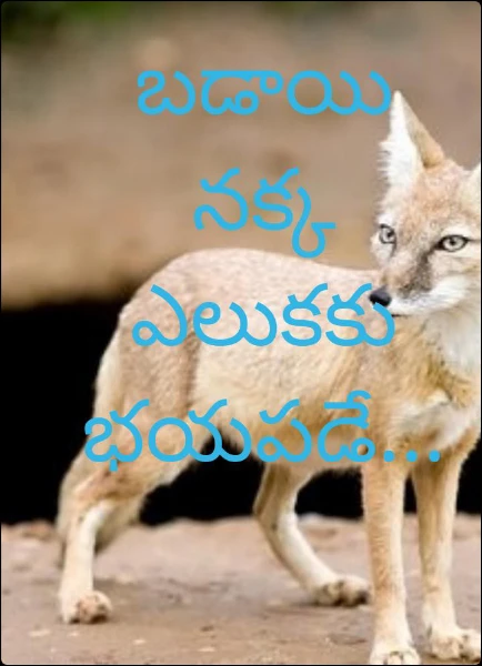 బడాయి నక్క ఎలుకకు భయపడే...