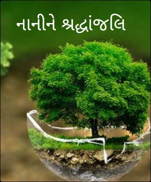 નાનીને શ્રદ્ધાંજલિ