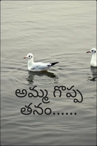 అమ్మ గొప్పతనం......
