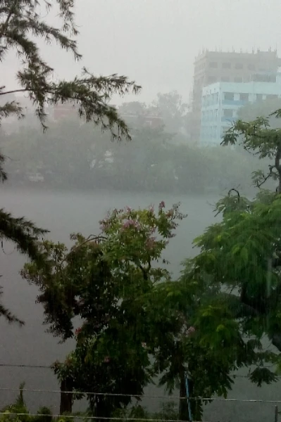 The Rainy day_  বৃষ্টি ভেজা দিন