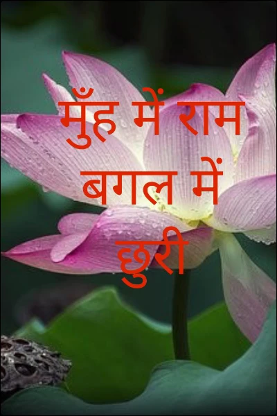 मुँह में राम बगल में छुरी