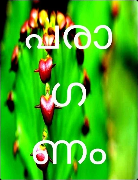 പരാഗണം