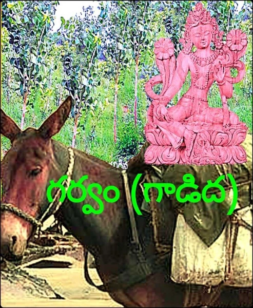 గర్వం (గాడిద)