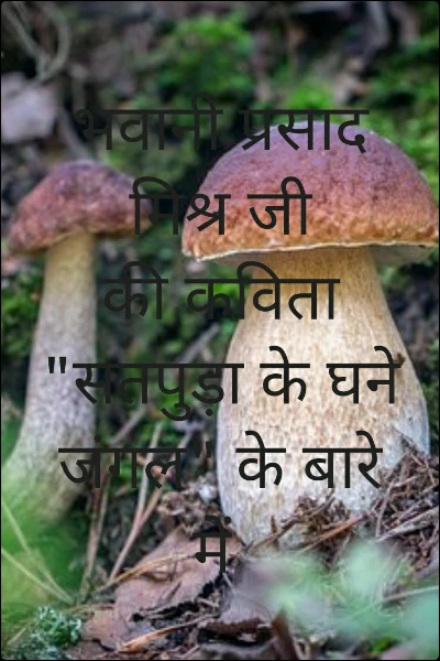 भवानी प्रसाद मिश्र जी की कविता "सतपुड़ा के घने जंगल" के बारे में
