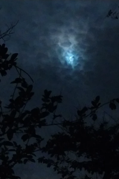 দৃষ্টি ভ্রম