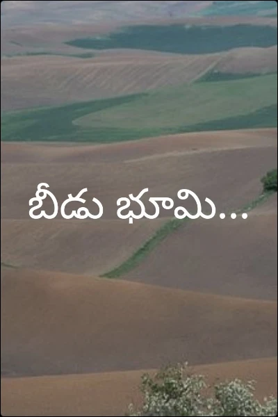 బీడు భూమి...