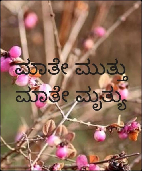 ಮಾತೇ ಮುತ್ತು ಮಾತೇ ಮೃತ್ಯು