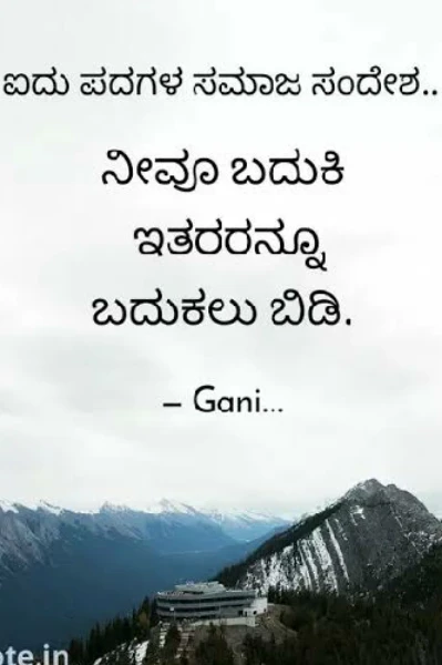 Bazi fotosuratlarda hol mushuk korsatilgan