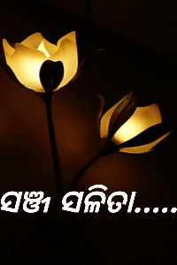 ସଞ୍ଜ ସଳିତା 
ଭାଗ -3