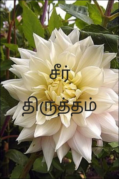 சீர் திருத்தம்