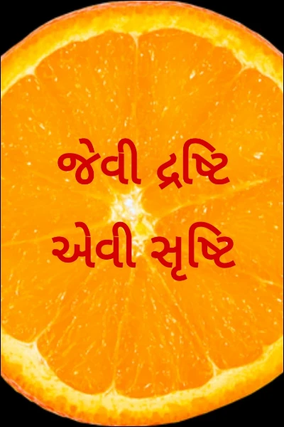 જેવી દ્રષ્ટિ એવી સૃષ્ટિ